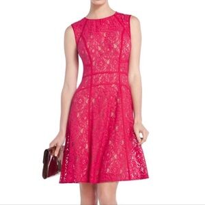 BCBG Pink Lace Midi Dress Women XXSMALL